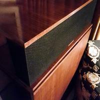 Diffusori Klipschorn in alnico