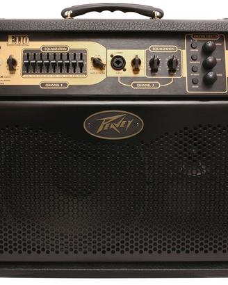 AMPLIFICATORE Peavey Ecoustic E110