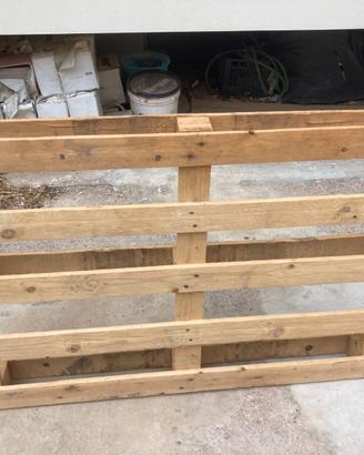 Pallet in legno