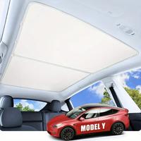 Tendine per tetto model y best buy