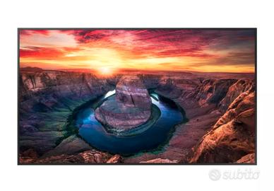 SAMSUNG Monitor 4K 43" QM43B