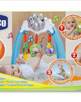 Palestra musicale chicco