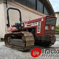 TRATTORE FIAT 70-75 C 70 CV CON JOYSTICK CINGOLATO