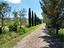Immagine 17