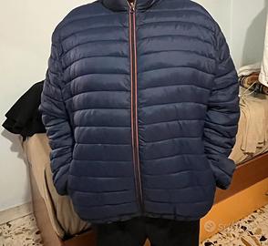 Giubbino