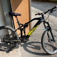 Bici pedalata assistita