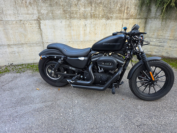 Harley davidson 883 iron