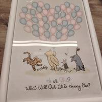 libro ospiti gender reveal a quadro