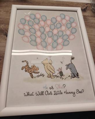 libro ospiti gender reveal a quadro