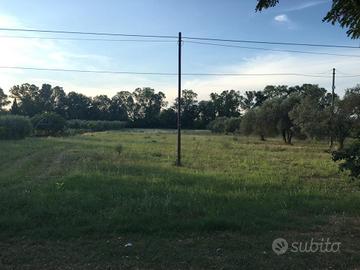 Terreno agricolo pianeggiante ed irriguo