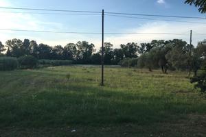 Terreno agricolo pianeggiante ed irriguo