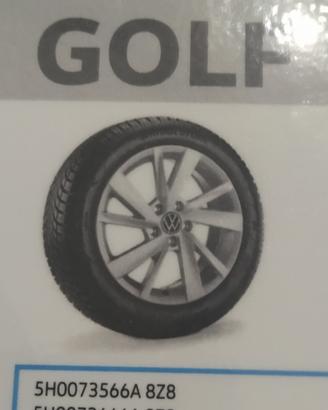 Set cerchi e gomme invernali golf
