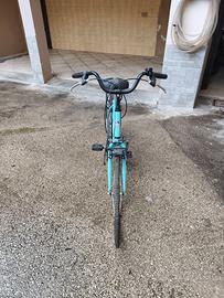Bicicletta da Donna