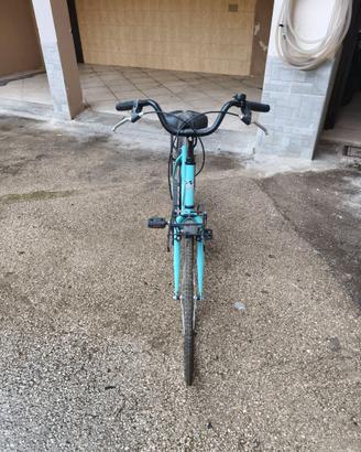 Bicicletta da Donna