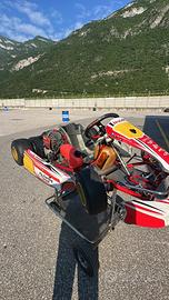 Birel easykart 60 mini