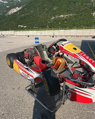 Birel easykart 60 mini