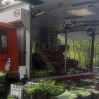 Autonegozio