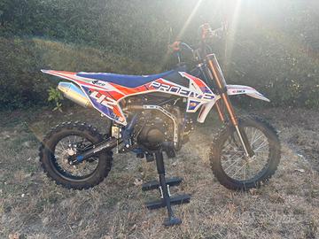 pit bike profive 140cc prezzo trattabile