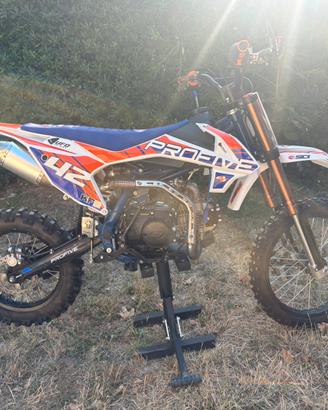 pit bike profive 140cc prezzo trattabile