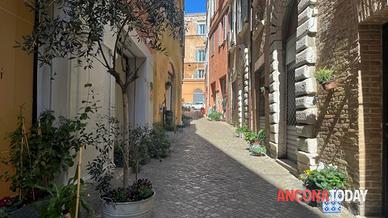 Locale commerciale Centro Ancona