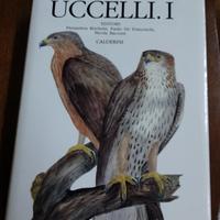 Uccelli, fauna d'italia