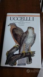Uccelli, fauna d'italia