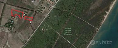 Terreno in Metaponto