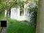 Immagine 8