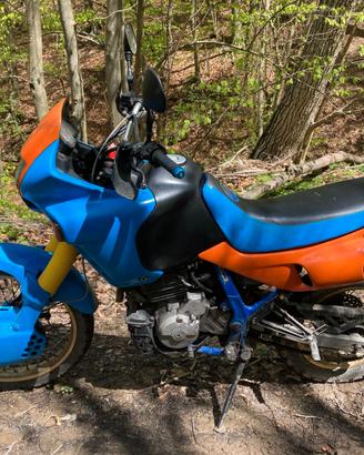 Honda dominator