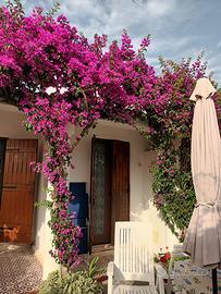 Villetta con Giardino in Condominio Playa Do Sol