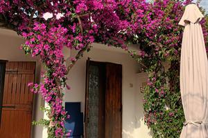 Villetta con Giardino in Condominio Playa Do Sol