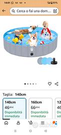 piscina per cani razza grande 