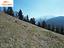 Immagine 9