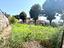 Immagine 22