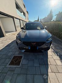 Cupra Formentor 2.0 tdi 4drive 150cv dsg