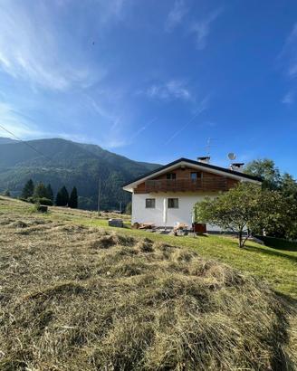 Appartamento a piano terra casa indipendente