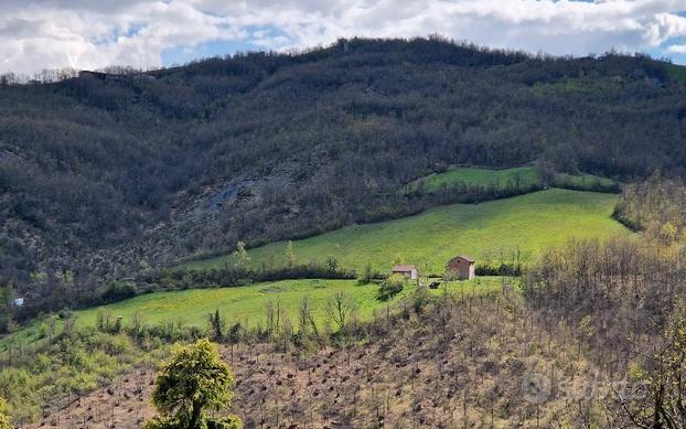 Podere con fabbricati