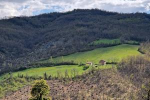 Podere con fabbricati