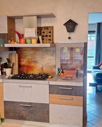 Coinquilina donna a Torrazza Piemonte