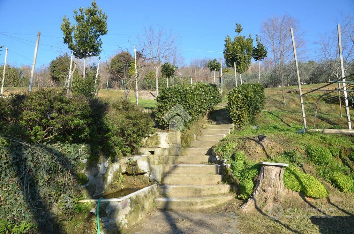 TER. AGRICOLO A CASTELLI CALEPIO - Vista 3