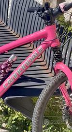 MTB CANNONDALE “CAFFEINE”HANDMADE USA(RUOTA 26’
