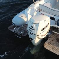 Motore Evinrude E-TEC 200