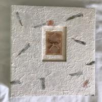 Album per fotografie