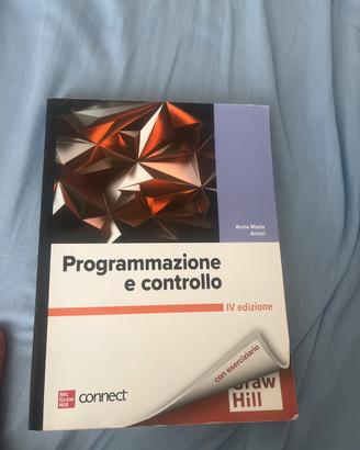 Programmazione e controllo