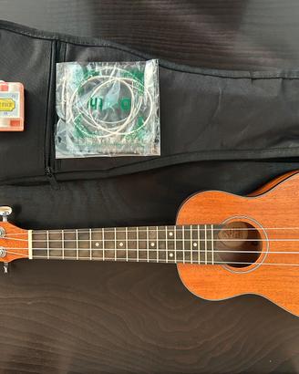Ukulele Eko