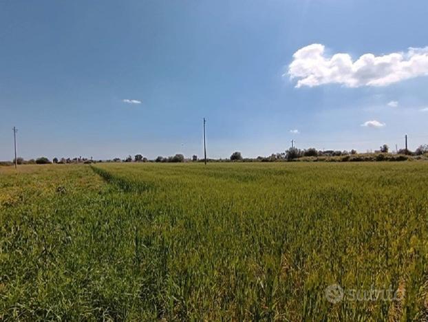 Terreno agricolo edificabile - zona tivoli