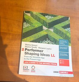Performer Shapping Ideas LL 2