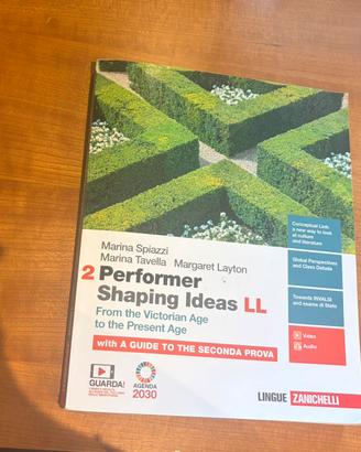 Performer Shapping Ideas LL 2