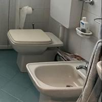 wc e bidet