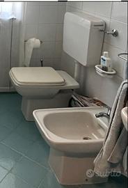 wc e bidet